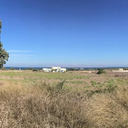 Kohilari *