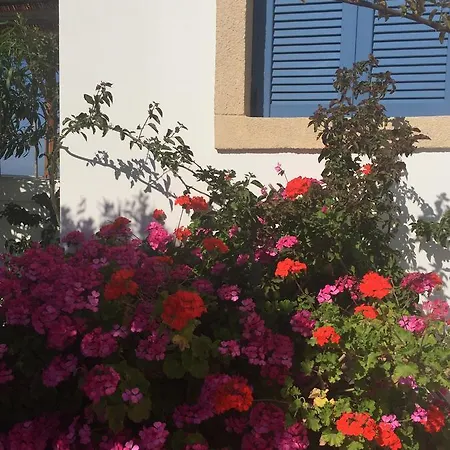 Kohilari Holiday home Kefalos (Kos)