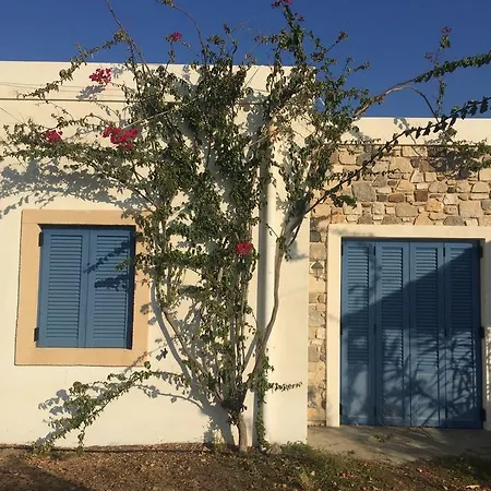 Kohilari Kefalos (Kos)